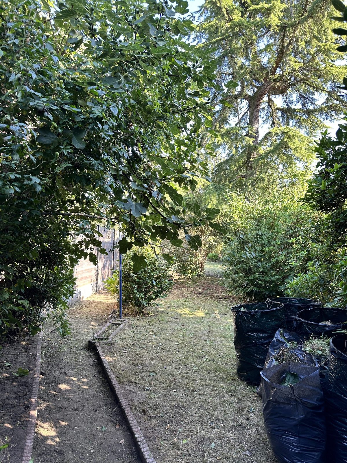 Woning met tuin
